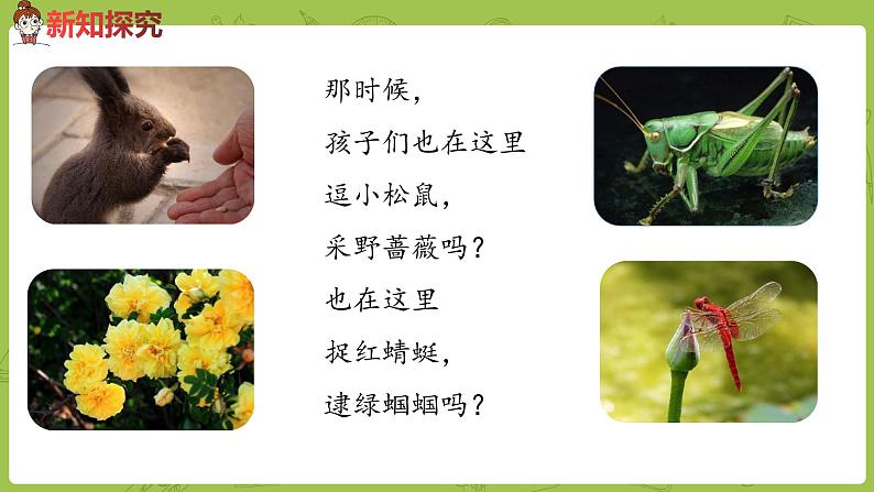 统编版语文二年级（下）第7单元《祖先的摇篮》 课件08