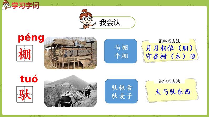 统编版语文二年级（下）第5单元《小马过河》课时1第5页