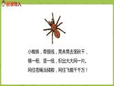 统编版语文二年级（下）第6单元20《蜘蛛开店》课件+素材