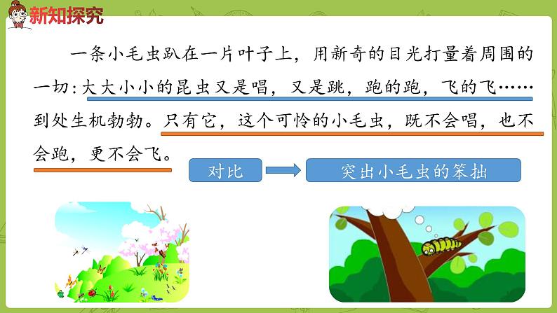统编版语文二年级（下）第7单元《小毛虫》课时2第5页