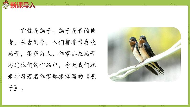 统编语文三（下）第1单元《燕子》课时1第3页