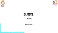 小学语文人教部编版三年级下册3 荷花授课ppt课件