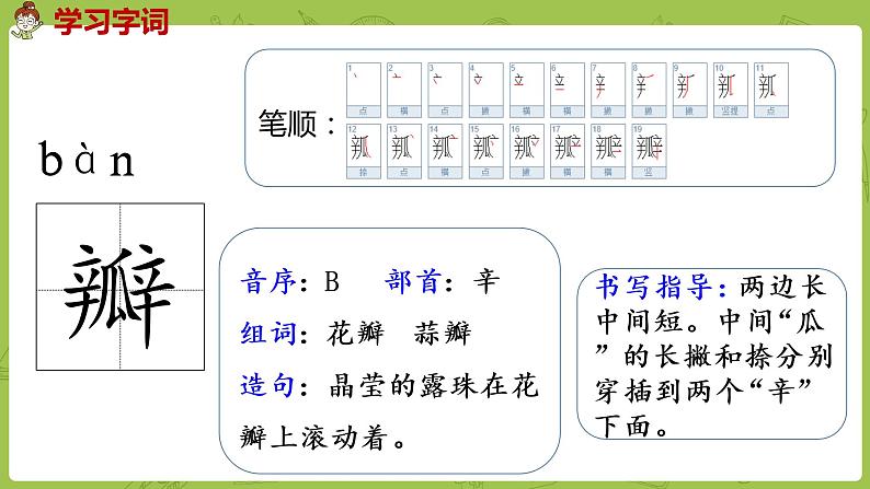 部编版三年级语文下册 第1单元 3.《荷花》（PPT课件）08