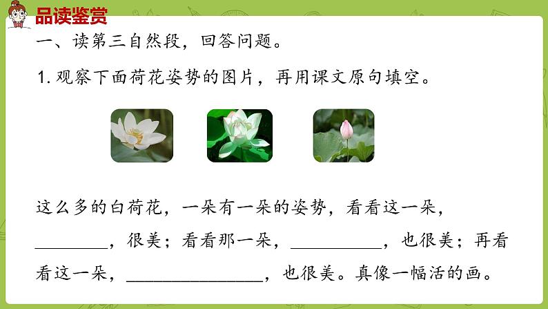 统编语文三（下）第1单元《荷花》课时2第4页