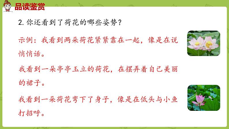 统编语文三（下）第1单元《荷花》课时2第6页