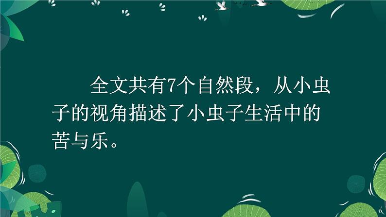 部编版语文二年级下册  11.《我是一只小虫子》课件03