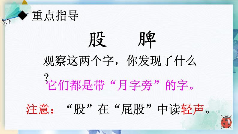 部编版语文二年级下册  11.《我是一只小虫子》课件06