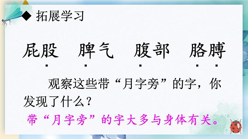 部编版语文二年级下册  11.《我是一只小虫子》课件07