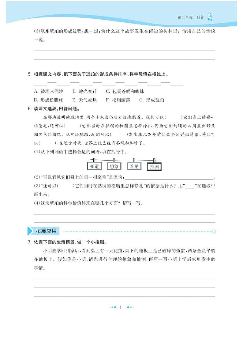 部编版四年级下册语文试题 第二单元同步优化练习pdf（无答案）第2页