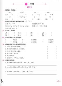 语文四年级下册11 白桦综合训练题