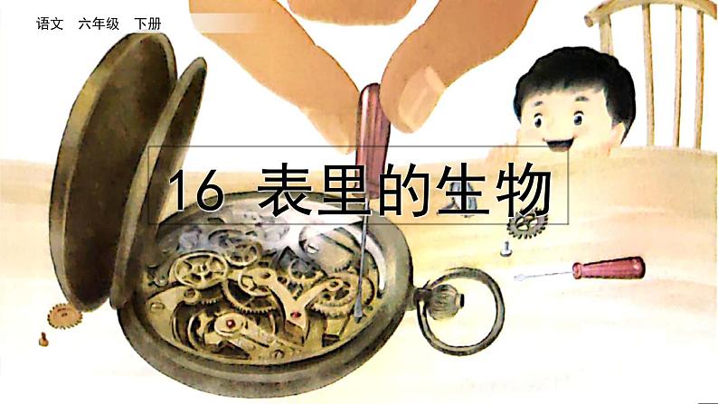 部编版语文六年级下册《16 表里的生物》课件01