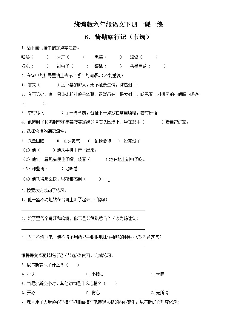 部编版语文六年级下册6 骑鹅旅行记 精品练习卷01