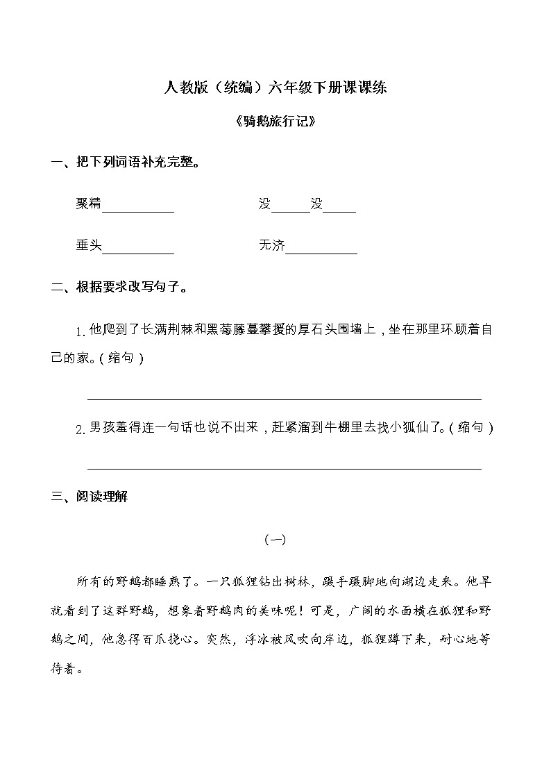 6《骑鹅旅行记》课课练 人教部编版（含答案）六年级语文下册试题01