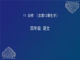 人教部编版四年级下册11 白桦 （含12课预习）  课件（31张ppt）