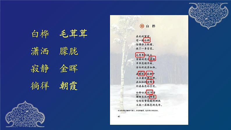 人教部编版四年级下册11 白桦 （含12课预习）  课件（31张ppt）03