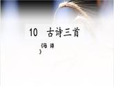 人教部编版 六年级下册语文10、古诗三首《马诗》课件