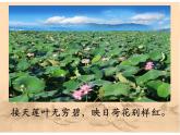 10.2 石灰吟- 部编版 六年级下册语文课件