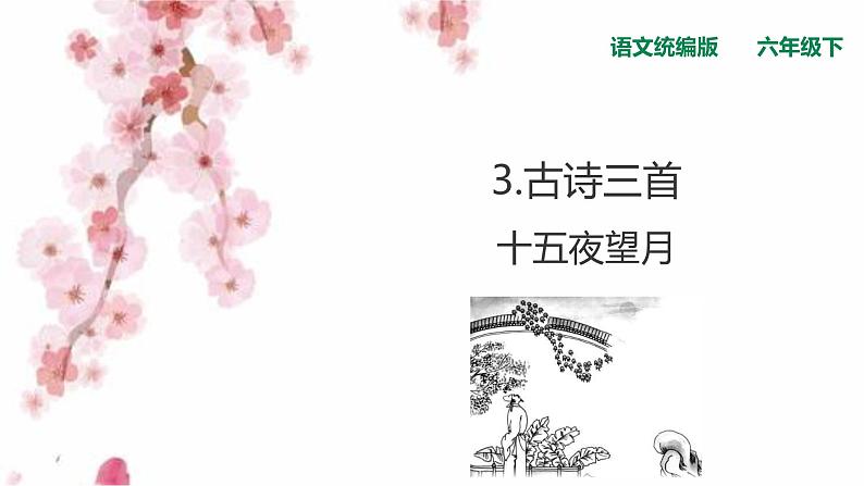 人教部编版 六年级下册语文 3 《古诗三首  十五夜望月》 课件01