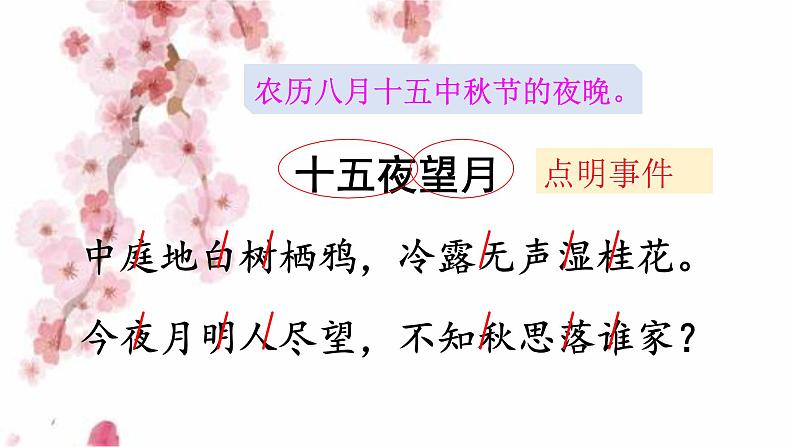 人教部编版 六年级下册语文 3 《古诗三首  十五夜望月》 课件05