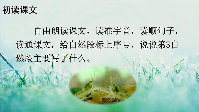 人教版三年级语文下册 第四单元 15 《小虾》课件04