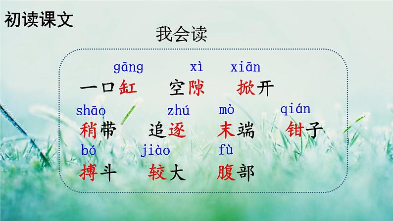 人教版三年级语文下册 第四单元 15 《小虾》课件06