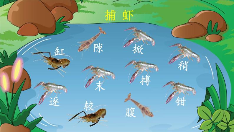 人教版三年级语文下册 第四单元 15 《小虾》课件07