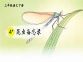 人教版三年級語文下冊 第一單元 4《 昆蟲備忘錄》課件