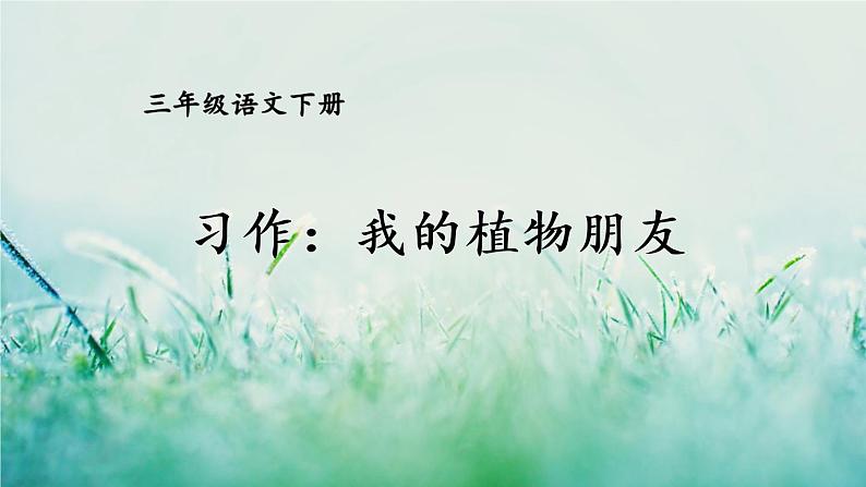 人教版三年级语文下册 第一单元 《习作：我的植物朋友》课件01