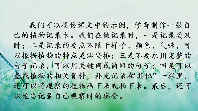 人教版三年级语文下册 第一单元 《习作：我的植物朋友》课件05