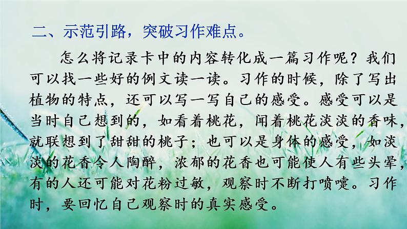 人教版三年级语文下册 第一单元 《习作：我的植物朋友》课件06