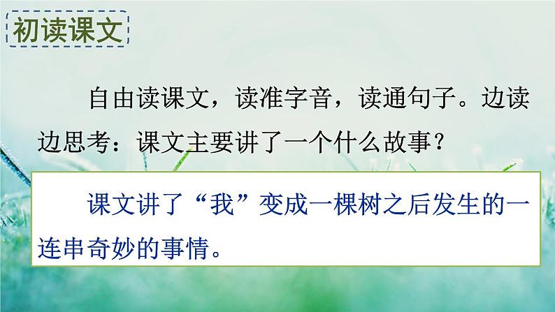 人教版三年级语文下册 第五单元 17《 我变成了一棵树》课件06