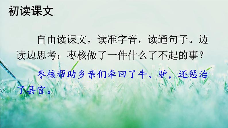 人教版三年级语文下册 第八单元 28 《枣核》课件03