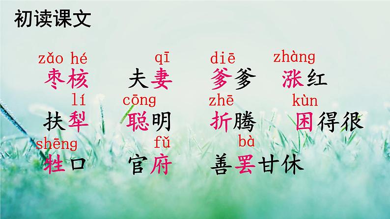 人教版三年级语文下册 第八单元 28 《枣核》课件04