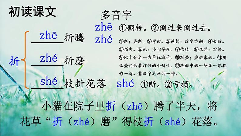 人教版三年级语文下册 第八单元 28 《枣核》课件06