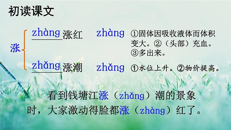 人教版三年级语文下册 第八单元 28 《枣核》课件07