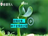 人教版三年級語文下冊 第七單元 22《 我們奇妙的世界》課件