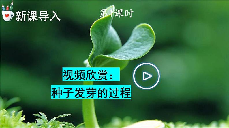 人教版三年级语文下册 第七单元 22《 我们奇妙的世界》课件02