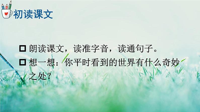 人教版三年级语文下册 第七单元 22《 我们奇妙的世界》课件03