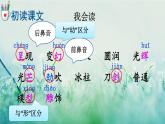 人教版三年級語文下冊 第七單元 22《 我們奇妙的世界》課件
