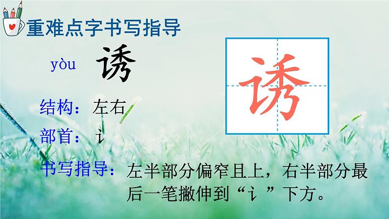 人教版三年级语文下册 第七单元 22《 我们奇妙的世界》课件07