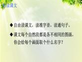 人教版三年级语文下册 第一单元 2 《燕子》课件