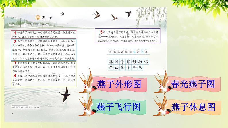 人教版三年级语文下册 第一单元 2 《燕子》课件05