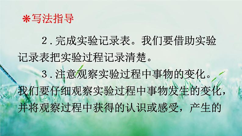 人教版三年级语文下册 第四单元 《习作：我做了一项小实验》课件07