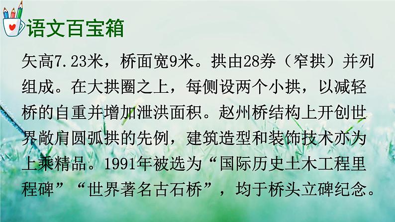 人教版三年级语文下册 第三单元 11 《赵州桥》课件04