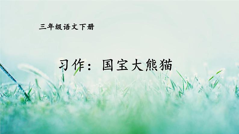 人教版三年级语文下册 第七单元 《习作：国宝大熊猫》课件01