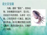 人教版三年級語文下冊 第七單元 23 《海底世界》課件