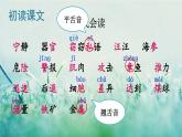 人教版三年級語文下冊 第七單元 23 《海底世界》課件