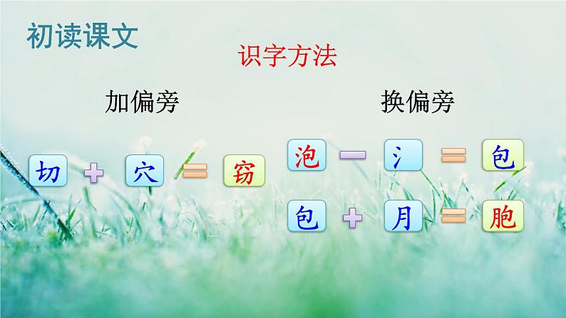 人教版三年级语文下册 第七单元 23 《海底世界》课件06