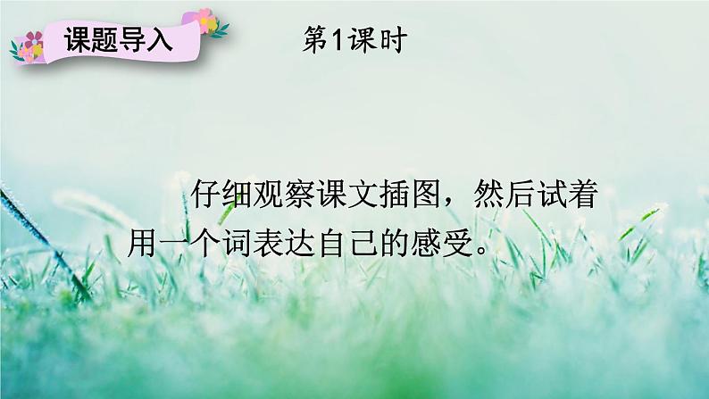 人教版三年级语文下册 第四单元 13 《花钟》课件02