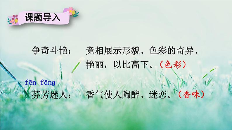 人教版三年级语文下册 第四单元 13 《花钟》课件04